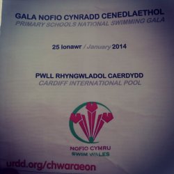 Urdd Swimming Gala: