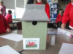 Bird Boxes: