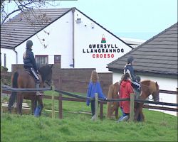 Penwythnos Llangrannog: