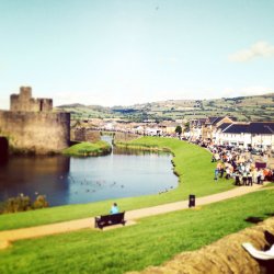 Seremoni Gyhoeddi'r Urdd: