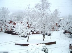 School closed: