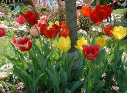 Spring Term News