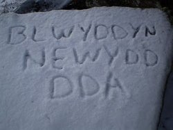 Blwyddyn Newydd Dda: