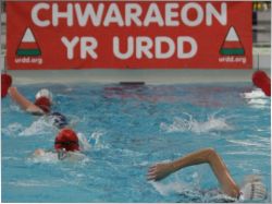 The Urdd National Swimming Gala