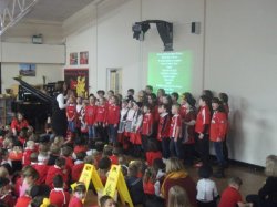 St. David's Day: