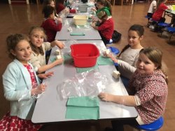 Year 5 Science Workshop: