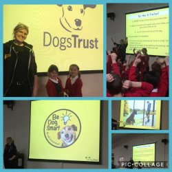 Dogs Trust Assembly and Workshops: