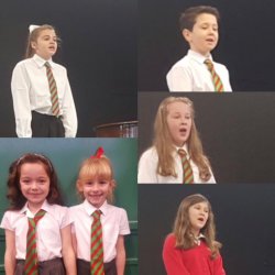 The first round of the Eisteddfod: