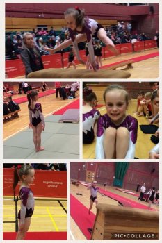 Gymnastics Competition: