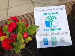 Gwobr Platinwm Eco-sgolion: