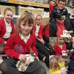 Ymweliad â Pets at home: