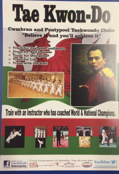 Taekwondo Sessions: