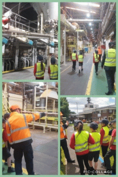 Eco Council visit to the Knauf factory: